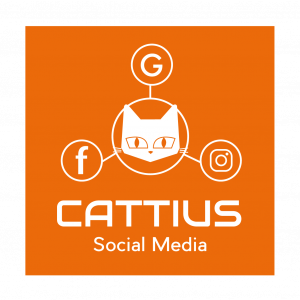 cattius social media