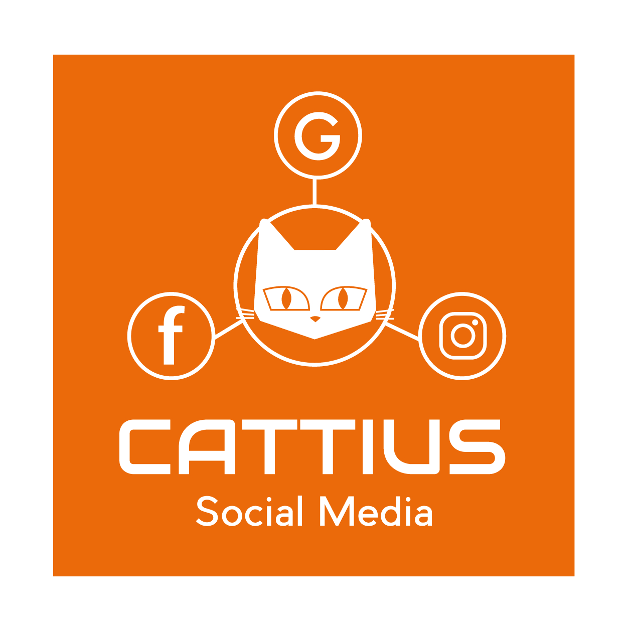 cattius social media